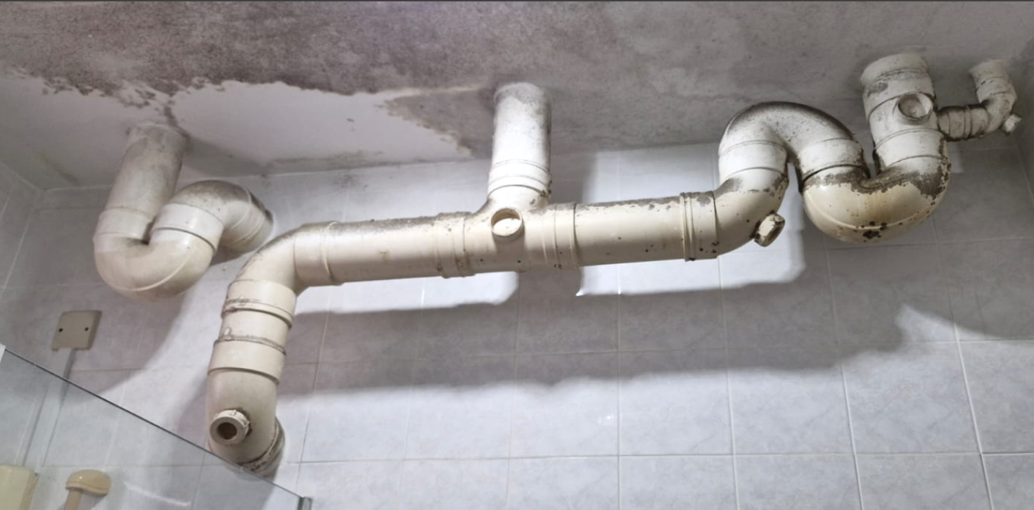 🏠 Ceiling Mold in Wet Areas? Here’s How to Fix It in Singapore