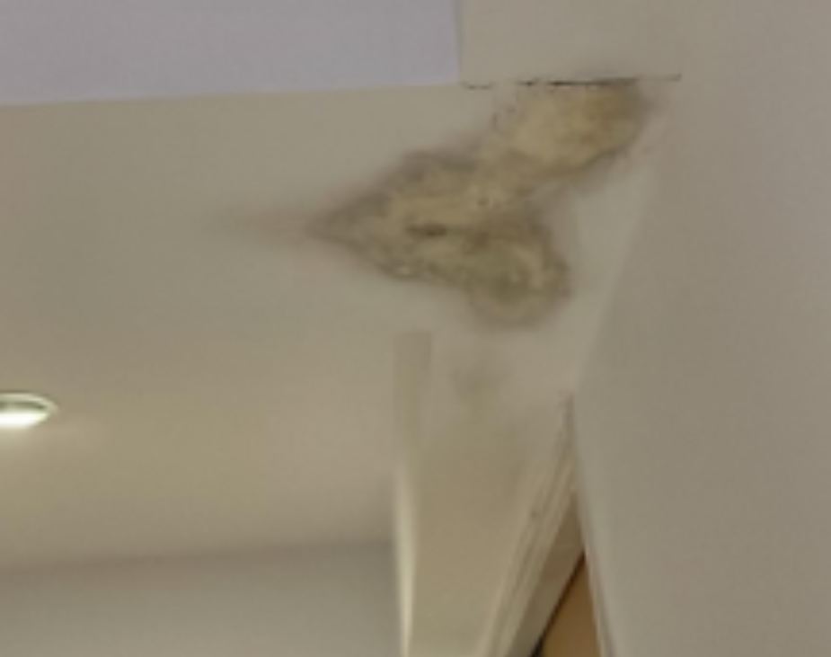 Repair False Ceiling Service in Singapore: Signs, Solutions & Why You Shouldn’t Delay