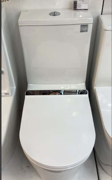 🚽 Upgrade Your Bathroom Comfort: Replace and Fixing Water Closet with Manual Bidet in Singapore